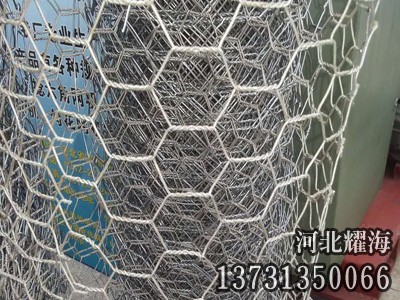 五絞石籠網